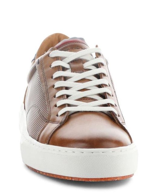 Ambitious Brown 11218 Low Top Sneaker for men