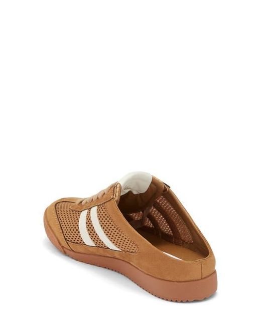 Steve Madden Brown Novva Mule
