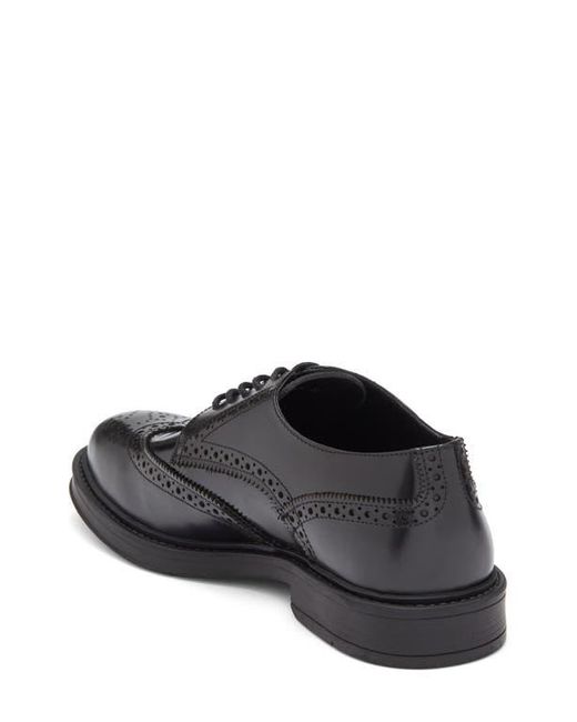 Roberto Cavalli Crip Wingtip Derby in Black for Men | Lyst display picture 2