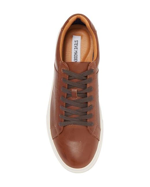 Steve Madden Brown Tucker Sneaker for men