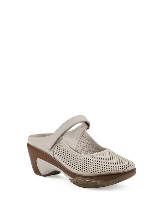 White Mountain White Vinto Mule