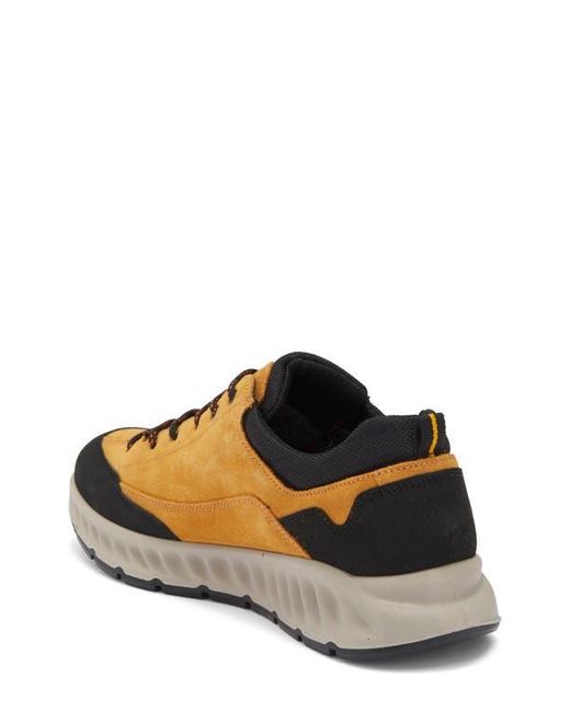 Ara Multicolor Petro Waterproof Sneaker for men