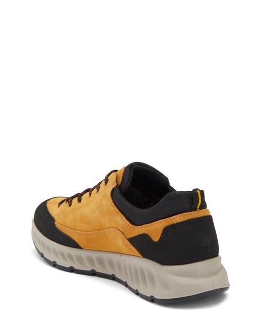 Ara Multicolor Petro Waterproof Sneaker for men