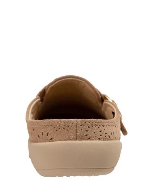 Revitalign Natural Siesta Eclipse Clog