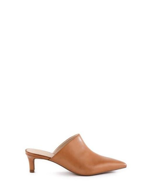 Seychelles Brown Stefani Pointed Toe Mule