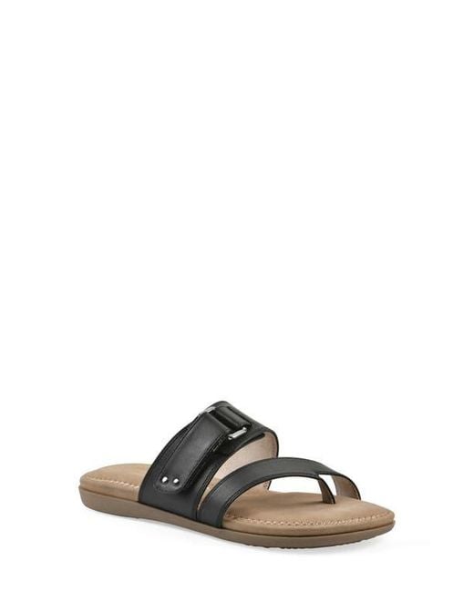 White Mountain Brown Fancify Toe Loop Sandal