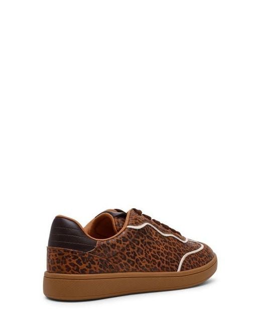 Dolce Vita Brown Venessa Low Top Sneaker