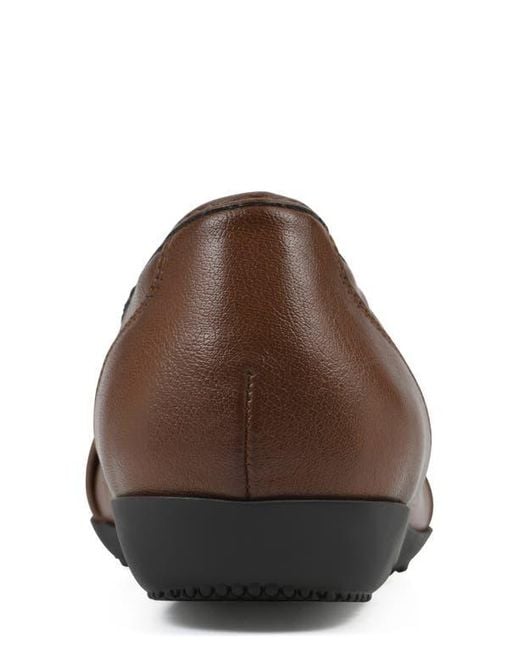 White Mountain Brown Calming Buckle Strap Flat
