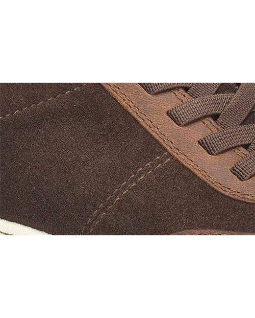 Børn Brown Adams Sneaker for men