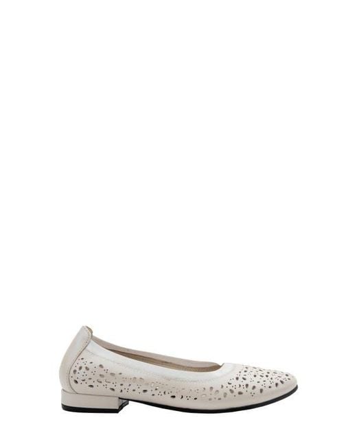 David Tate White Laser Cut Ballet Flat