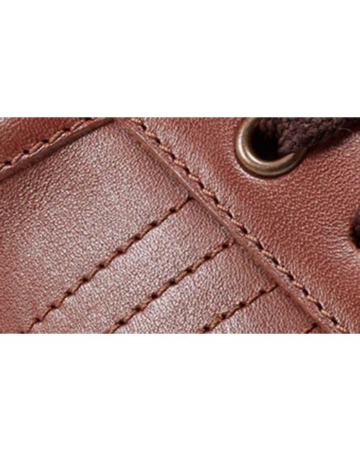 Rockport Brown Trenner Leather Sneaker for men