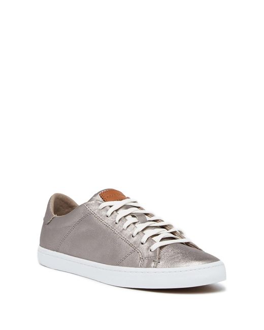 leather and warmth converse