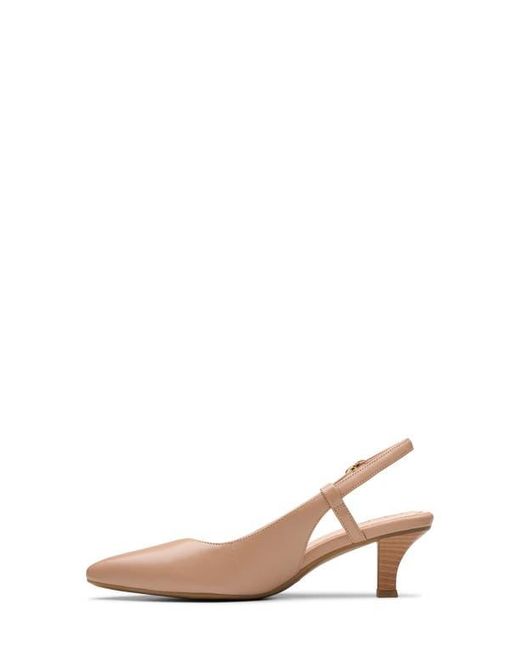 Clarks Multicolor Slingback Leather Pointy-Toe Pumps