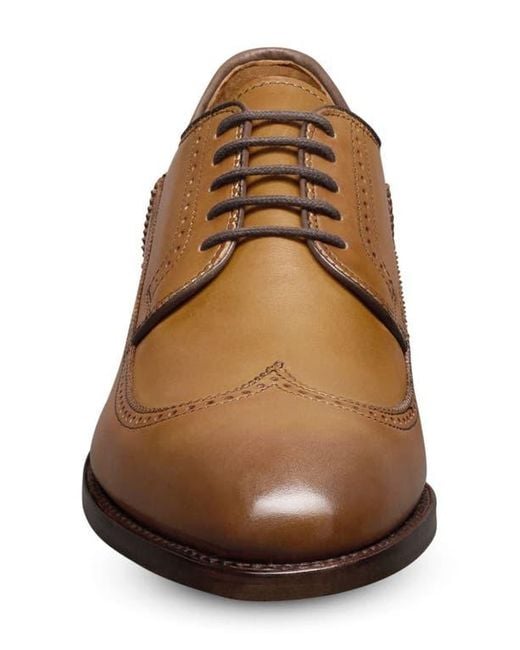 Allen Edmonds Brown Winston Wingtip Derby for men