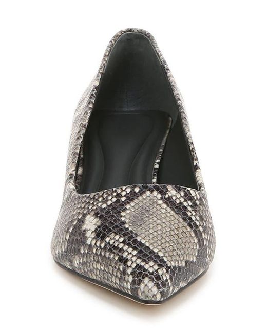 Sarto Gray Diva Pointed Toe Kitten Heel Pump