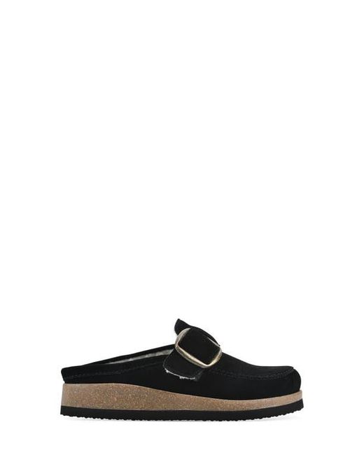White Mountain Black Bueno Mule