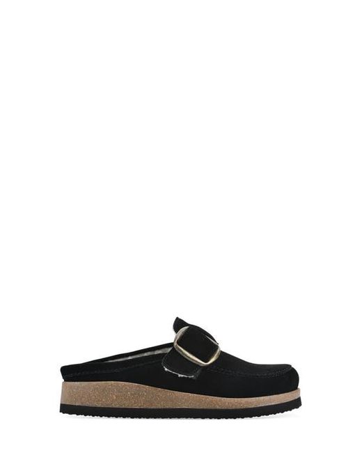 White Mountain Black Bueno Mule