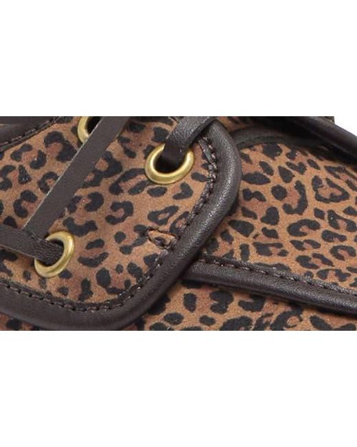 Jeffrey Campbell Brown Boast Boat Shoe