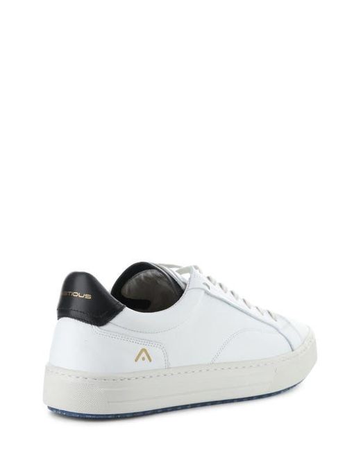 Ambitious White 11218 Low Top Sneaker for men