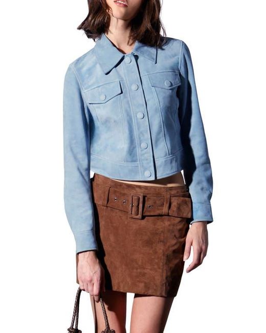 Walter Baker Blue Kacey Leather Jacket