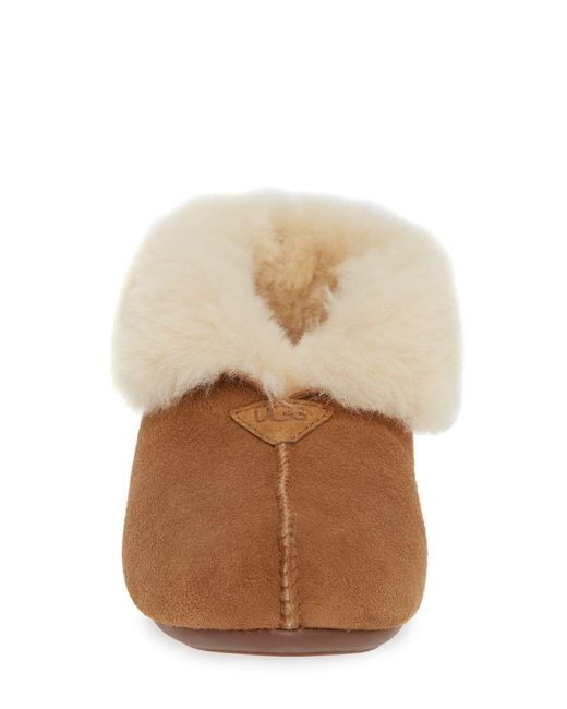 ugg roo slipper