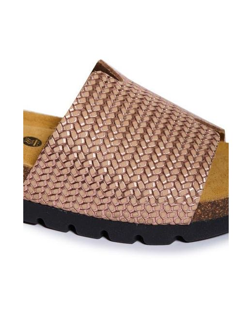 Plakton Multicolor Celeste Slide Sandal