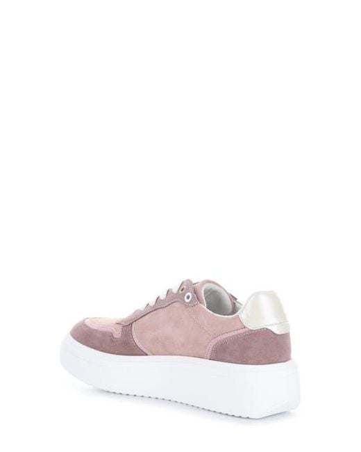 Bos. & Co. Pink Fulton Colorblock Platform Sneaker