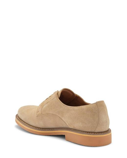 Steve Madden Natural Petit Derby for men