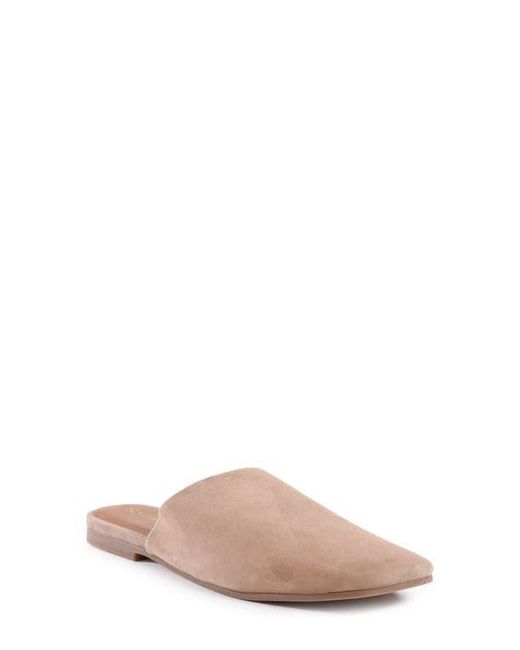 Seychelles Pink Bahama Mule