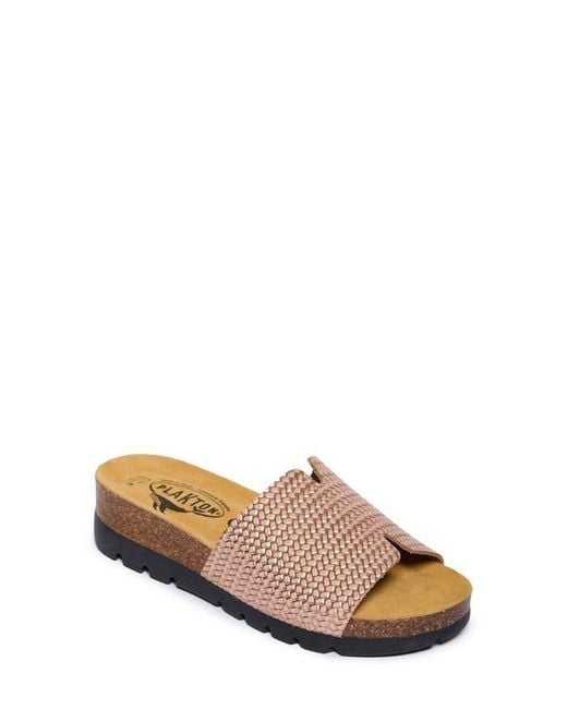 Plakton Multicolor Celeste Slide Sandal