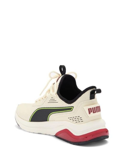 PUMA White Amplifier Sneaker for men