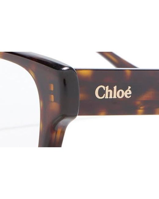 Chloé Brown 51Mm Cat Eye Optical Frames
