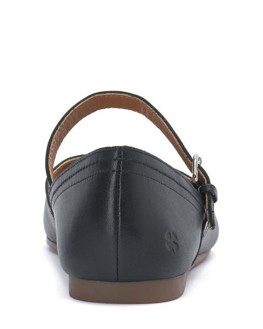 Lucky Brand White Albajane Flat