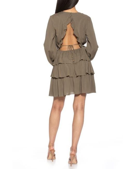 Alexia Admor Natural Rosie Ruffle Tiered Dress