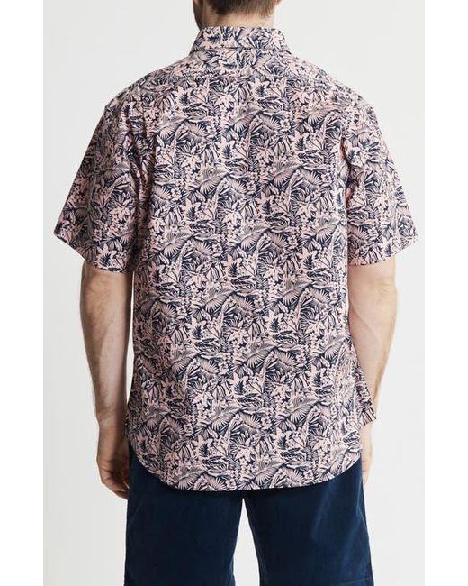Jachs New York Multicolor Bay Stretch Oxford Short Sleeve Shirt for men