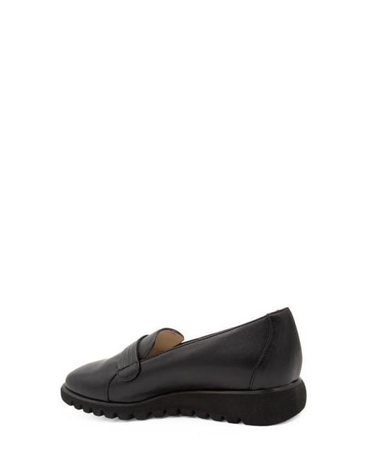 Amalfi by Rangoni Black Epidoterro Wedge Loafer