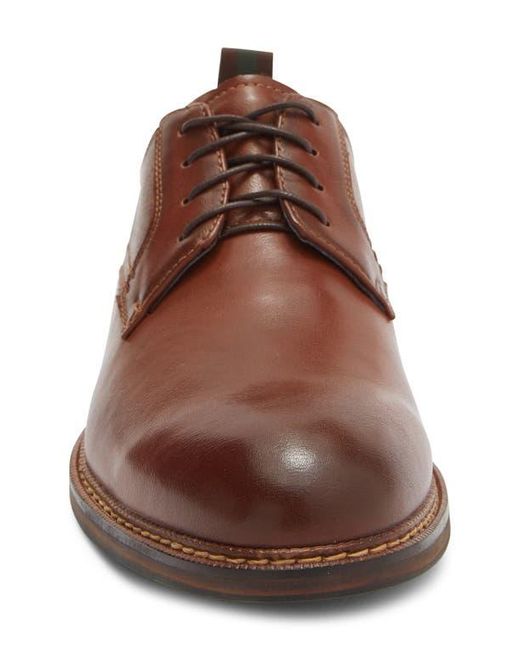 Steve Madden Brown Pierce Plain Toe Derby for men
