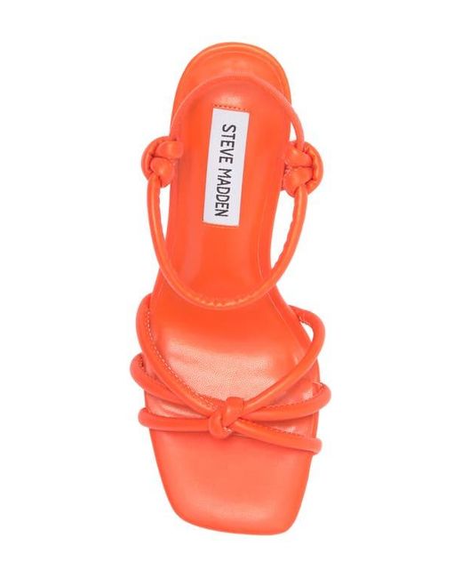 【Steve Madden】Tokio Knot サンダル Steve Madden Tokio Knot Sandal (Women) | Nordstromrack