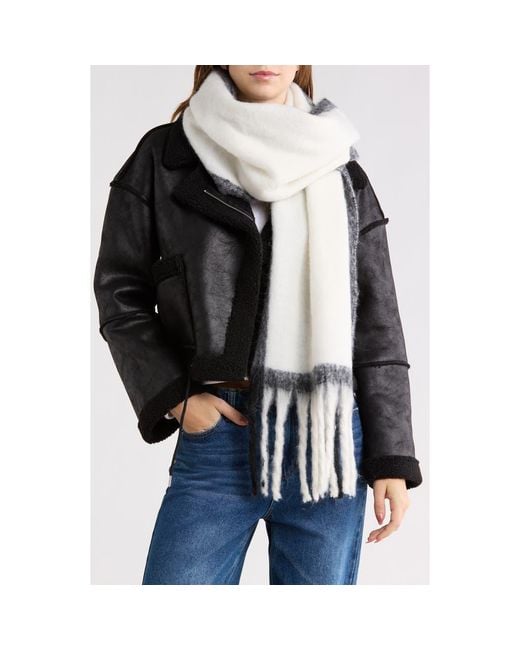 Steve Madden Black Pop Border Stripe Scarf