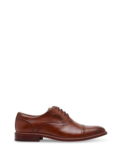 Steve Madden Brown Duart Cap Toe Oxford for men