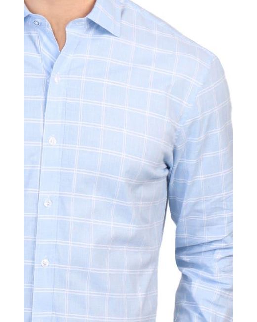 Tailorbyrd Blue Windowpane Stretch Cotton Button Down Shirt for men