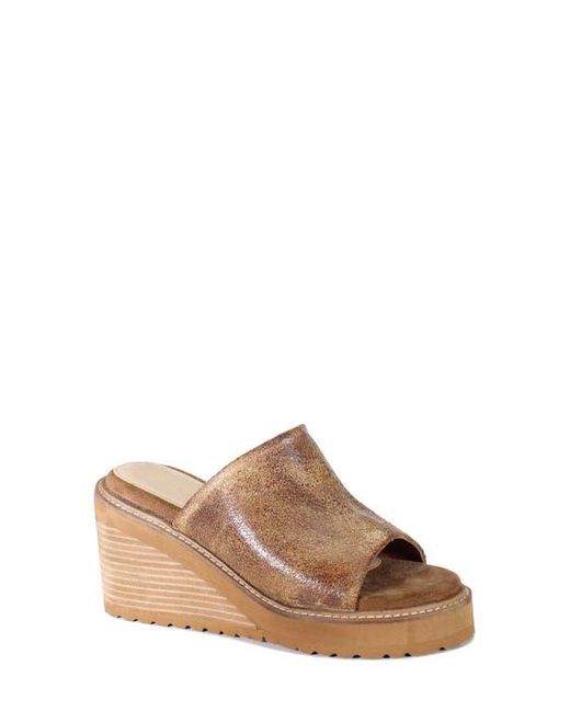 Diba True Brown Cloud Fall Wedge Sandal
