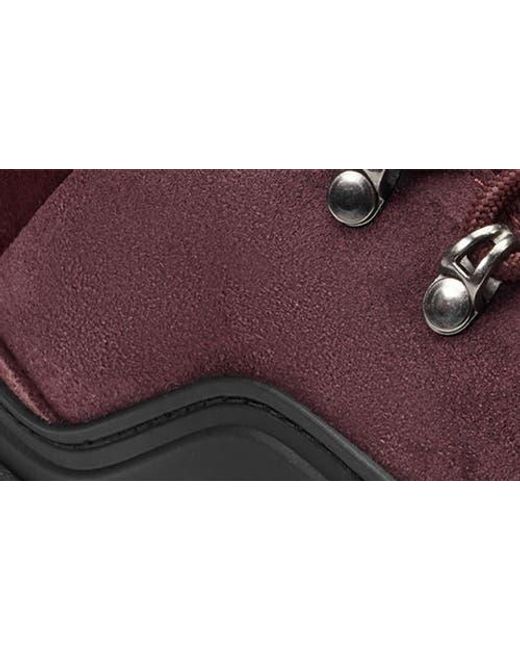 Hunter Purple Jasper Waterproof Hiker Boot