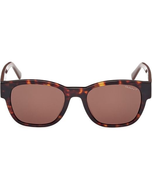 Gant Brown Square Sunglasses for men