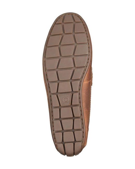 Børn Brown Liam Penny Loafer for men