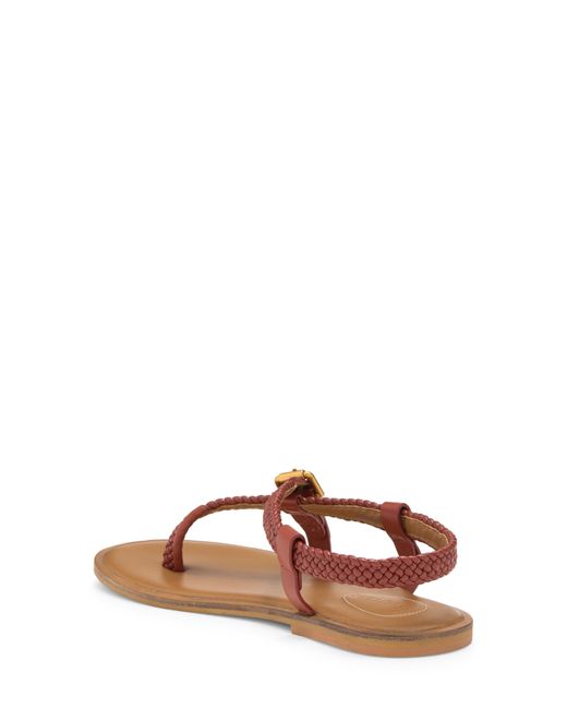 See By Chloé Brown Rosellina Braided Strap Sandal