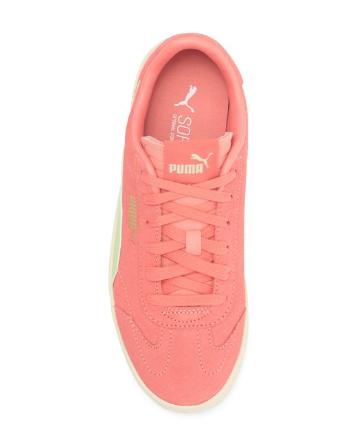 PUMA Pink Club 5v5 Aos Sneaker
