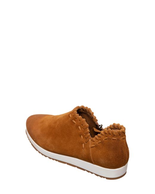 Antelope Brown Scotty Slip-on Sneaker