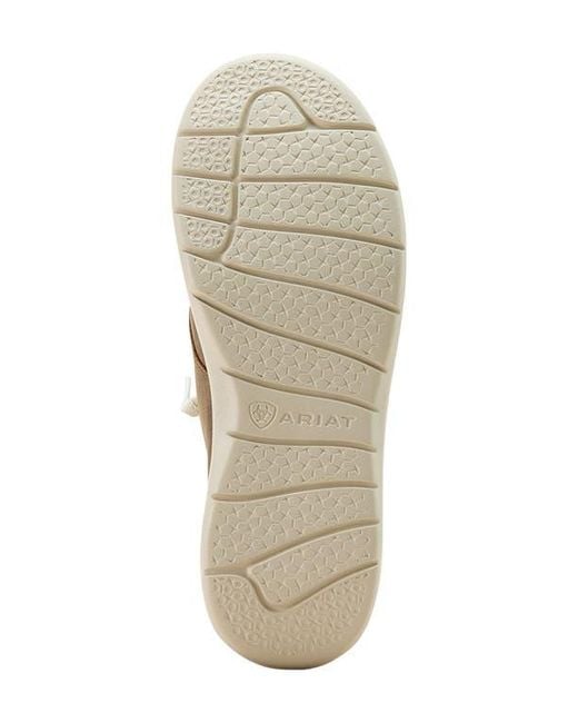 Ariat Brown Hilo High Top Sneaker