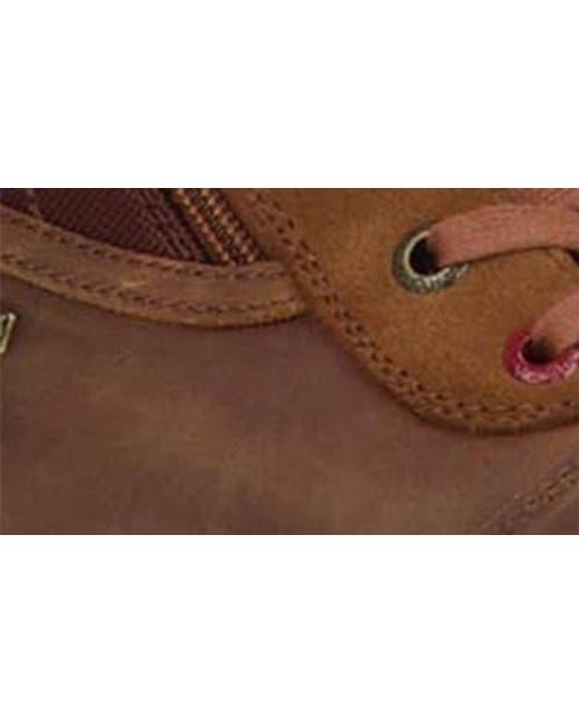 Pajar Brown Trooper 2.0 Waterproof Boot for men